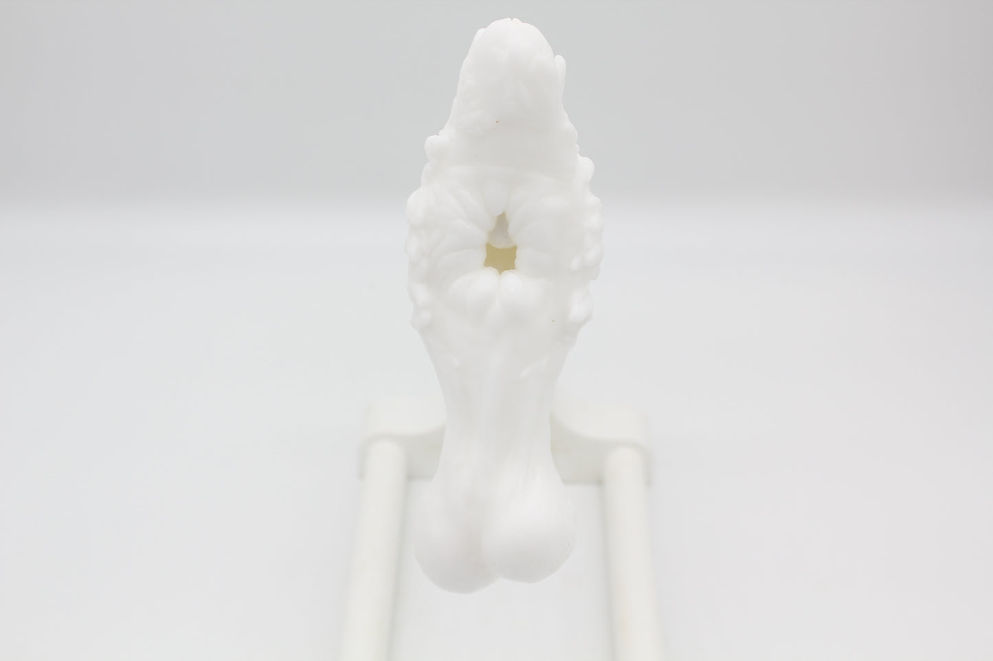 Ready To Ship Single Color One Hole Canine