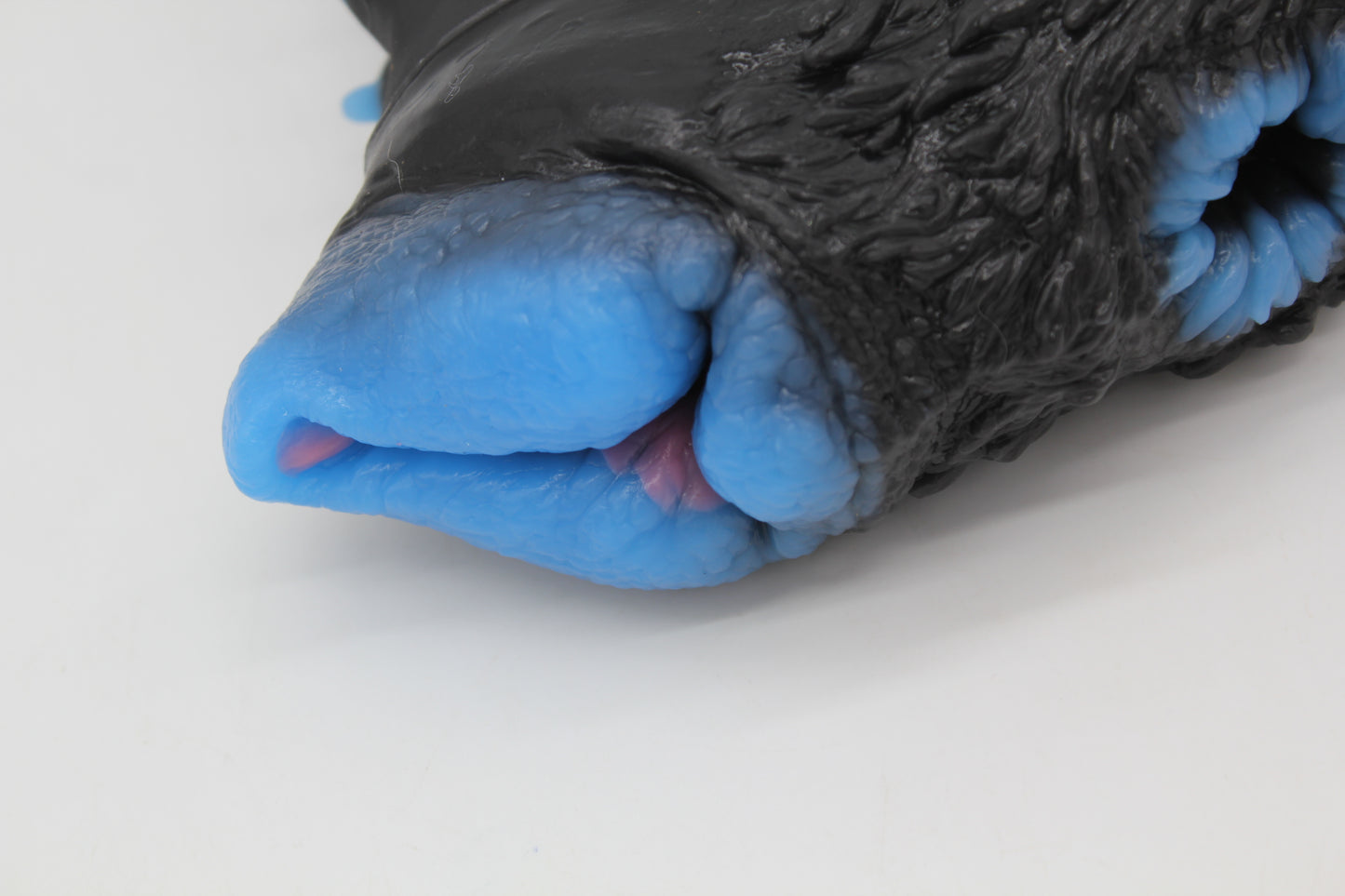 Ready To Ship Two Hole Canine