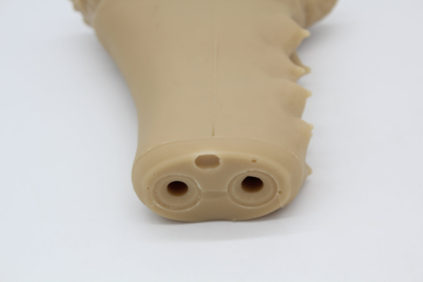 Ready To Ship Single Color Two Hole Canine