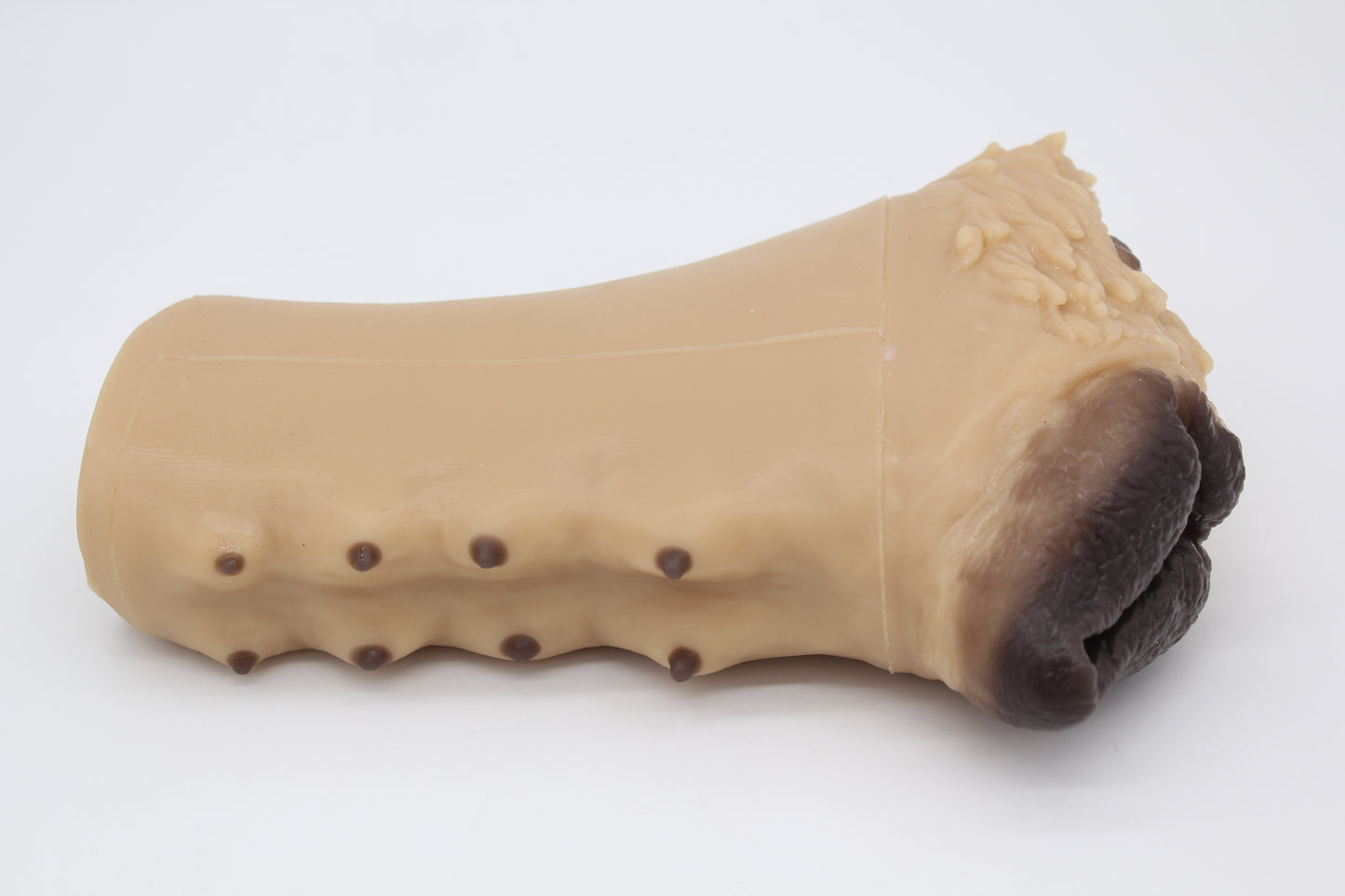 Ready To Ship Two Hole Canine