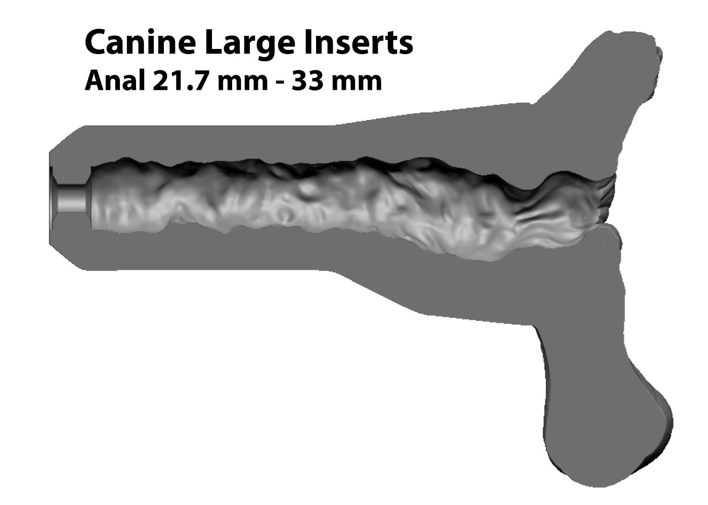 Single Color One Hole Male Canine