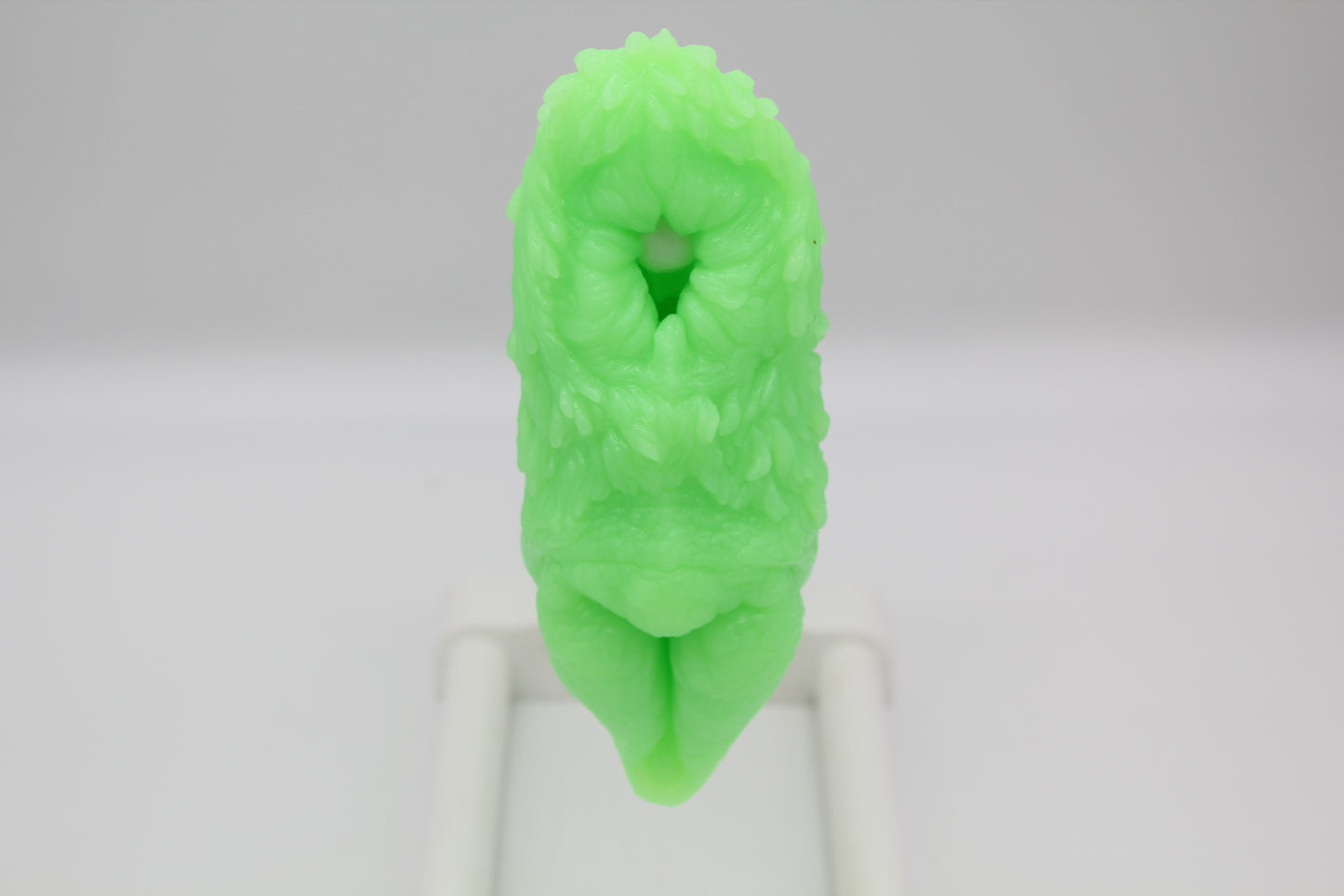 Ready To Ship Single Color Two Hole Canine