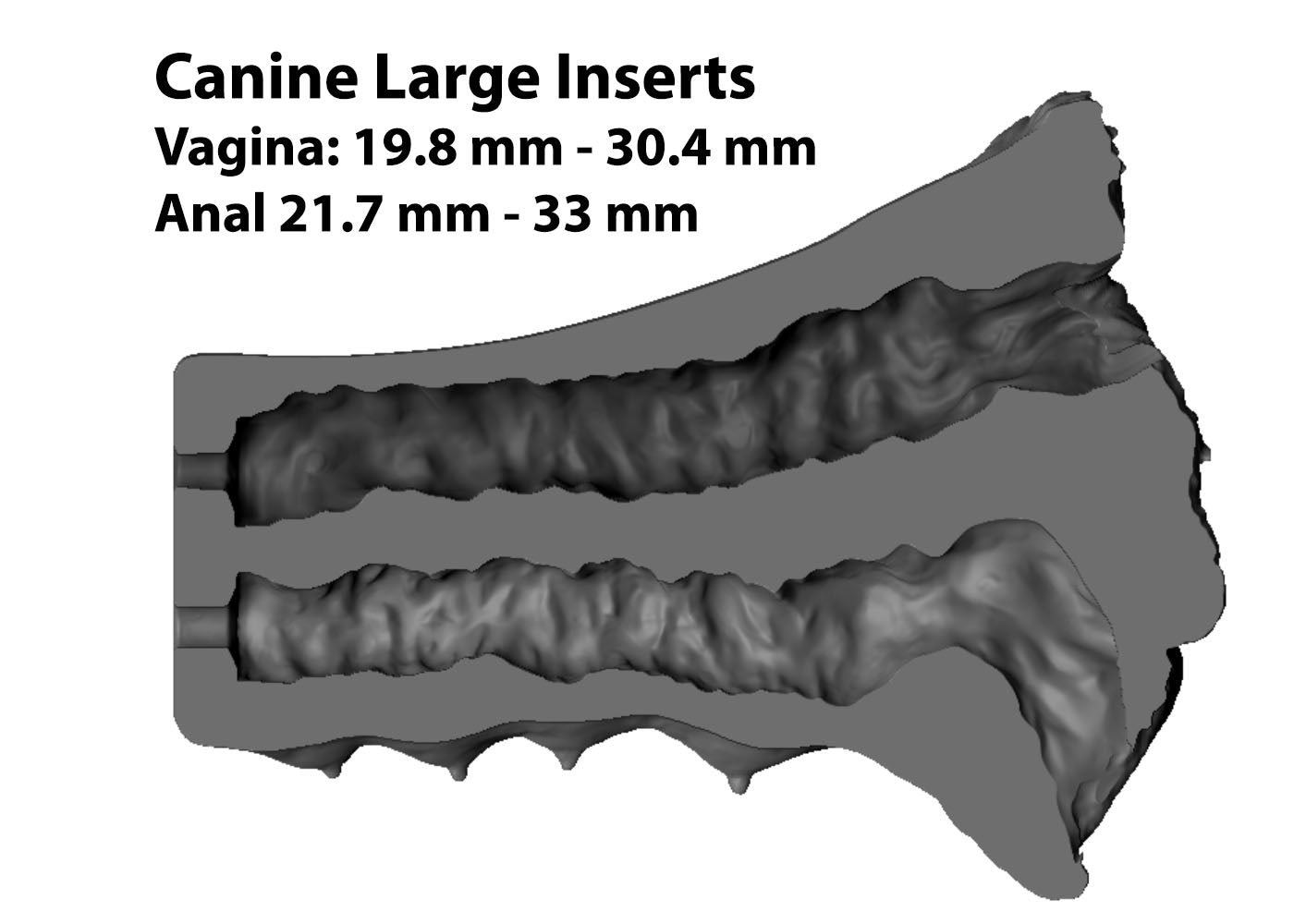 Two Hole Canine Pre-Order